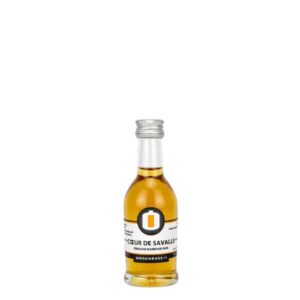 Spirit Explorers Club English Harbour Coeur de Savalle Mini