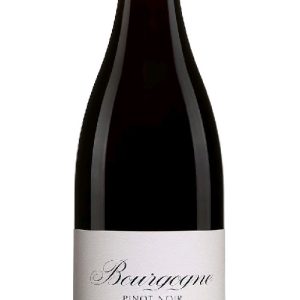 Bourgogne Pinot Noir domaine de Montille 0.75l