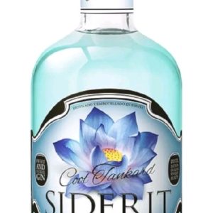 Siderit Cool Tankard 0.7l