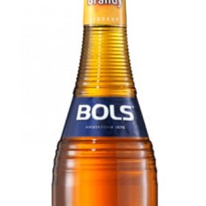 Bols Apricot 0.7l