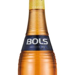 Bols Honey 0.7l
